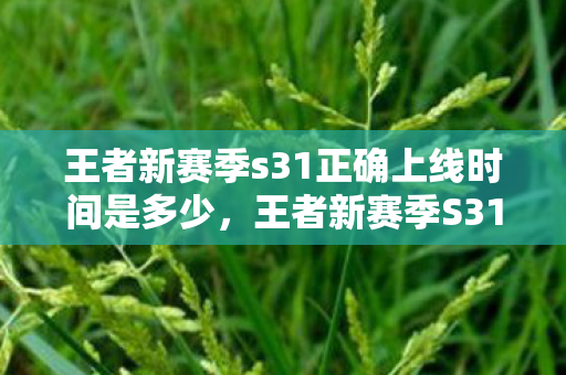 王者新赛季s31正确上线时间是多少，王者新赛季S31，全新赛季，全新挑战