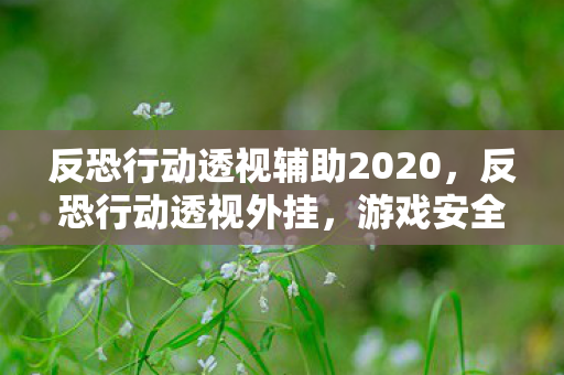 反恐行动透视辅助2020，反恐行动透视外挂，游戏安全的隐形威胁