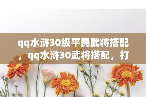 qq水浒30级平民武将搭配，qq水浒30武将搭配，打造最强战斗阵容