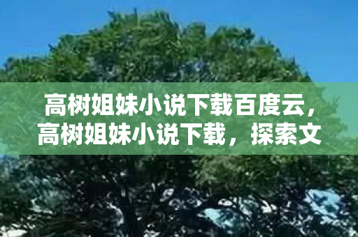 高树姐妹小说下载百度云，高树姐妹小说下载，探索文学世界的便捷之旅
