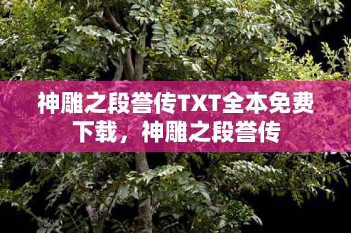 神雕之段誉传TXT全本免费下载，神雕之段誉传