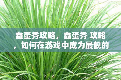 蠢蛋秀攻略，蠢蛋秀 攻略，如何在游戏中成为最靓的仔