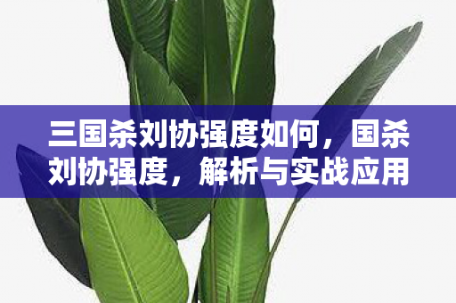 三国杀刘协强度如何，国杀刘协强度，解析与实战应用