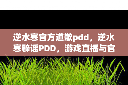逆水寒官方道歉pdd，逆水寒辟谣PDD，游戏直播与官方合作的真相