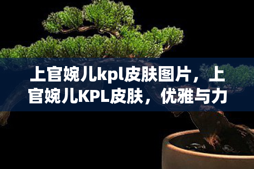上官婉儿kpl皮肤图片，上官婉儿KPL皮肤，优雅与力量的完美结合