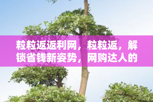 粒粒返返利网，粒粒返，解锁省钱新姿势，网购达人的秘密武器