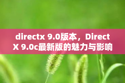 directx 9.0版本，DirectX 9.0c最新版的魅力与影响