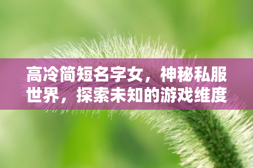 高冷简短名字女，神秘私服世界，探索未知的游戏维度