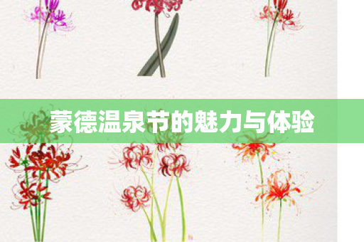 蒙德温泉节的魅力与体验 蒙德温泉节的魅力与体验