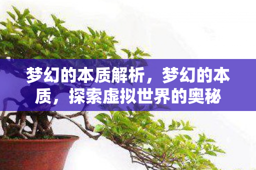 梦幻的本质解析，梦幻的本质，探索虚拟世界的奥秘