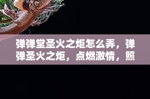 弹弹堂圣火之炬怎么弄,弹弹圣火之炬,点燃激情,照亮游戏之路 弹弹堂圣火之炬怎么弄,弹弹圣火之炬,点燃激情,照亮游戏之路