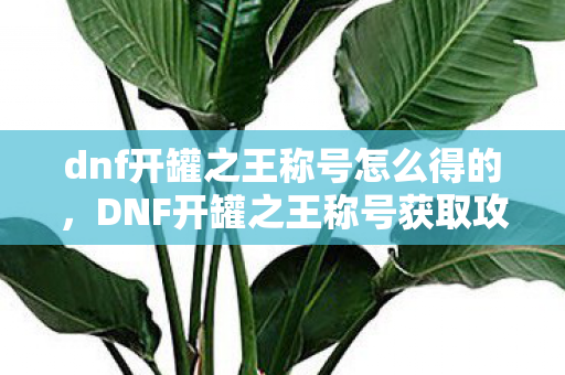 dnf开罐之王称号怎么得的,DNF开罐之王称号获取攻略 dnf开罐之王称号怎么得的,DNF开罐之王称号获取攻略
