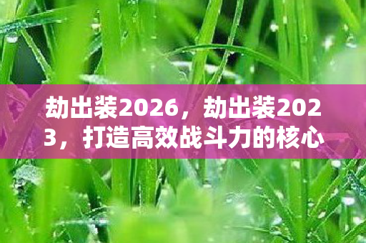 劫出装2026,劫出装2023,打造高效战斗力的核心策略 劫出装2026,劫出装2023,打造高效战斗力的核心策略