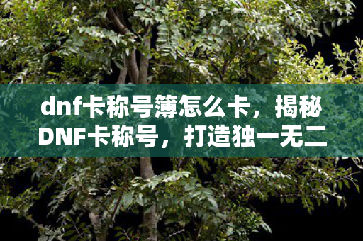 dnf卡称号簿怎么卡，揭秘DNF卡称号，打造独一无二的游戏体验