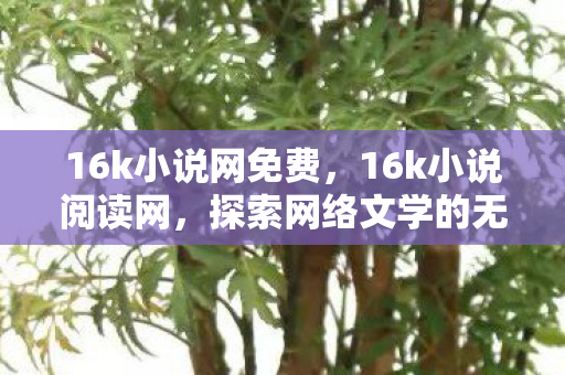 16k小说网免费，16k小说阅读网，探索网络文学的无限可能
