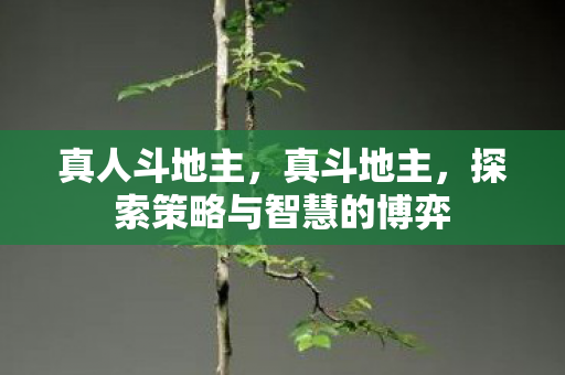 真人斗地主，真斗地主，探索策略与智慧的博弈