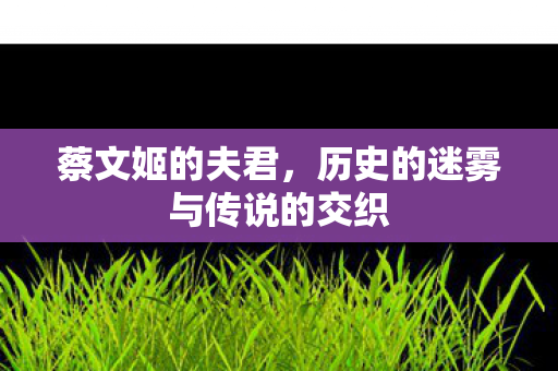 蔡文姬的夫君,历史的迷雾与传说的交织 蔡文姬的夫君,历史的迷雾与传说的交织