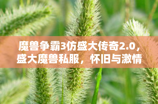 魔兽争霸3仿盛大传奇2.0,盛大魔兽私服,怀旧与激情的交织 魔兽争霸3仿盛大传奇2.0,盛大魔兽私服,怀旧与激情的交织