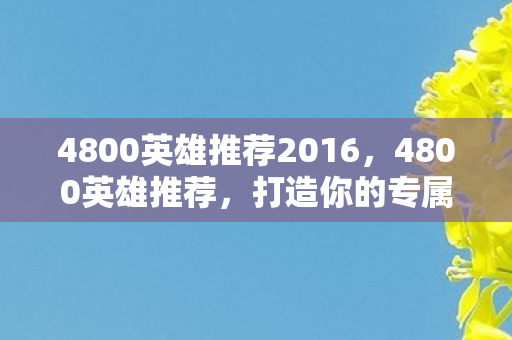 4800英雄推荐2016，4800英雄推荐，打造你的专属战斗阵容