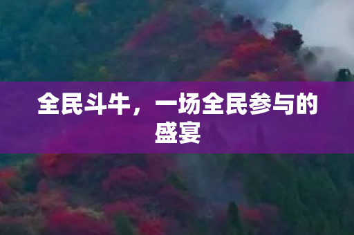 全民斗牛，一场全民参与的盛宴