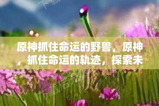 原神抓住命运的野兽,原神,抓住命运的轨迹,探索未知的世界 原神抓住命运的野兽,原神,抓住命运的轨迹,探索未知的世界