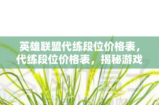英雄联盟代练段位价格表,代练段位价格表,揭秘游戏竞技背后的经济链 英雄联盟代练段位价格表,代练段位价格表,揭秘游戏竞技背后的经济链