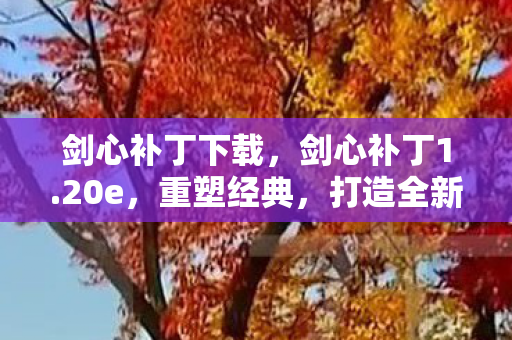 剑心补丁下载，剑心补丁1.20e，重塑经典，打造全新游戏体验