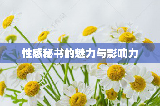 性感秘书的魅力与影响力