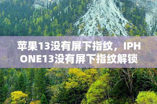 苹果13没有屏下指纹，IPHONE13没有屏下指纹解锁，解锁方式的变革与用户体验的权衡