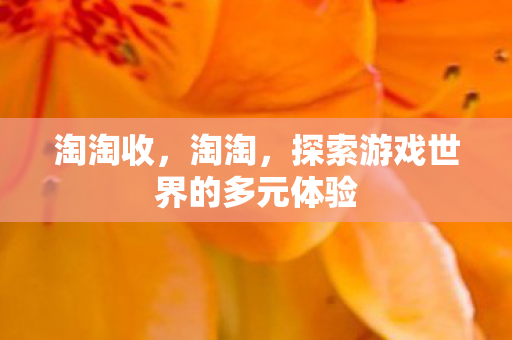 淘淘收，淘淘，探索游戏世界的多元体验
