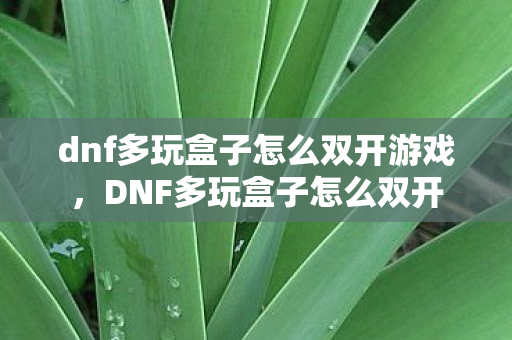 dnf多玩盒子怎么双开游戏，DNF多玩盒子怎么双开