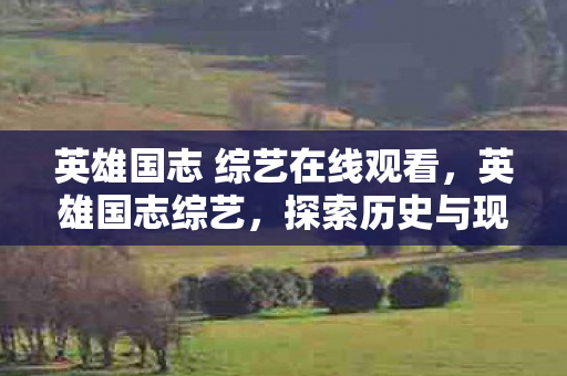 英雄国志 综艺在线观看，英雄国志综艺，探索历史与现代的交汇点