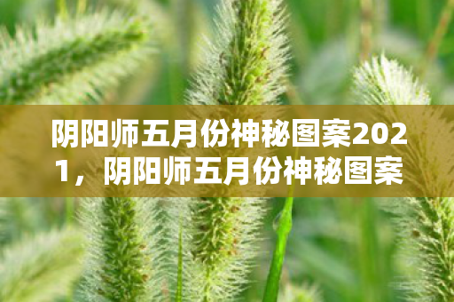 阴阳师五月份神秘图案2021，阴阳师五月份神秘图案，解锁新世界的钥匙