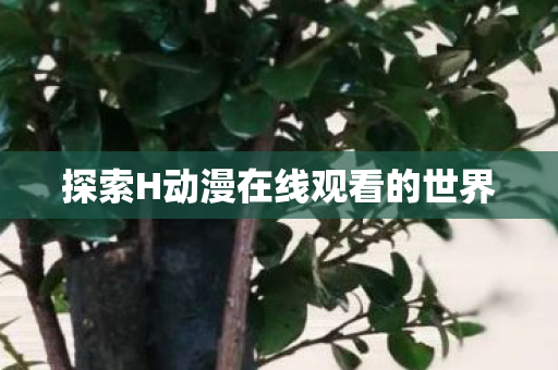 探索H动漫在线观看的世界