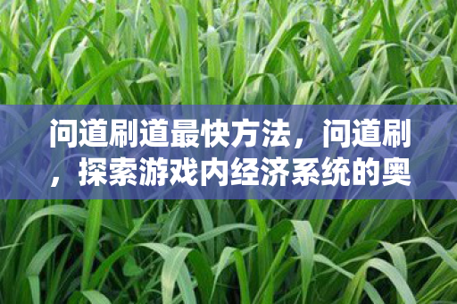 问道刷道最快方法，问道刷，探索游戏内经济系统的奥秘