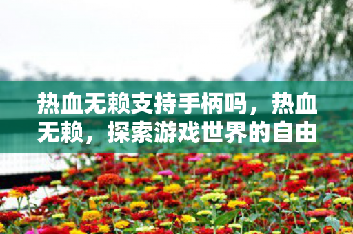 热血无赖支持手柄吗，热血无赖，探索游戏世界的自由与限制