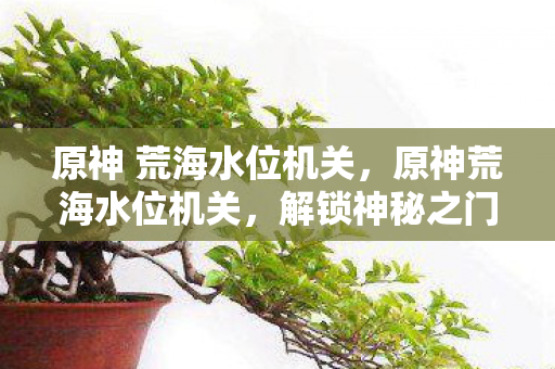 原神 荒海水位机关，原神荒海水位机关，解锁神秘之门的秘密