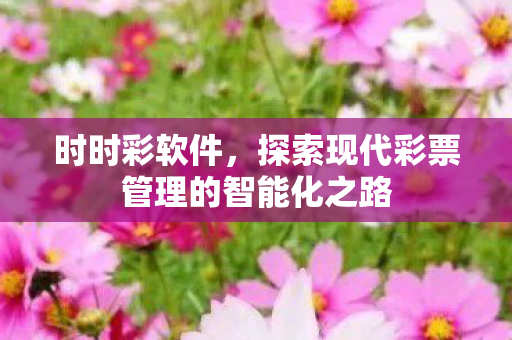 时时彩软件，探索现代彩票管理的智能化之路