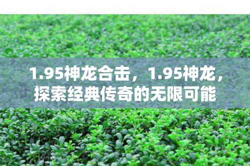 1.95神龙合击,1.95神龙,探索经典传奇的无限可能 1.95神龙合击,1.95神龙,探索经典传奇的无限可能