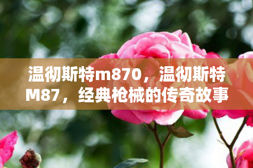 温彻斯特m870，温彻斯特M87，经典枪械的传奇故事