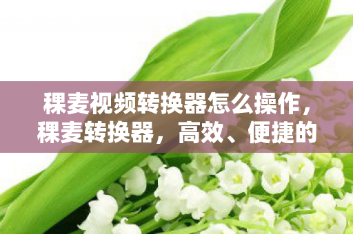 稞麦视频转换器怎么操作，稞麦转换器，高效、便捷的数据转换工具