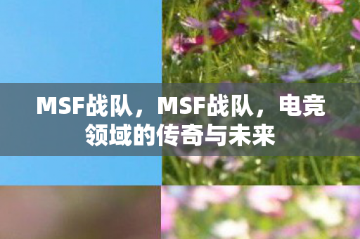 MSF战队，MSF战队，电竞领域的传奇与未来