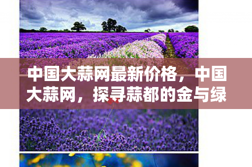中国大蒜网最新价格,中国大蒜网,探寻蒜都的金与绿 中国大蒜网最新价格,中国大蒜网,探寻蒜都的金与绿
