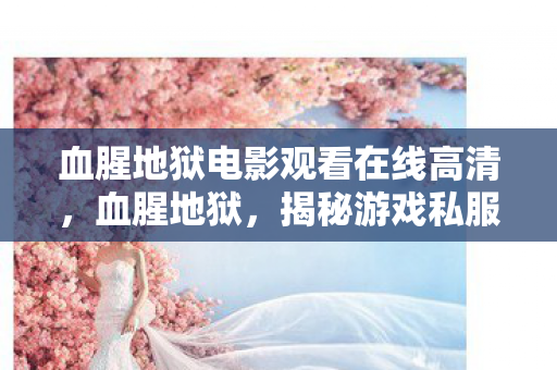 血腥地狱电影观看在线高清，血腥地狱，揭秘游戏私服的灰色阴影