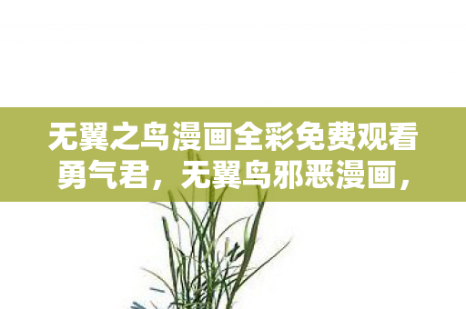 无翼之鸟漫画全彩免费观看勇气君，无翼鸟邪恶漫画，探索禁忌之美的边界