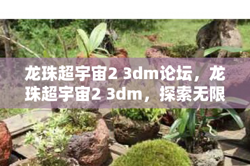 龙珠超宇宙2 3dm论坛，龙珠超宇宙2 3dm，探索无限可能的宇宙冒险