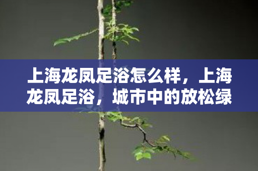 上海龙凤足浴怎么样,上海龙凤足浴,城市中的放松绿洲 上海龙凤足浴怎么样,上海龙凤足浴,城市中的放松绿洲