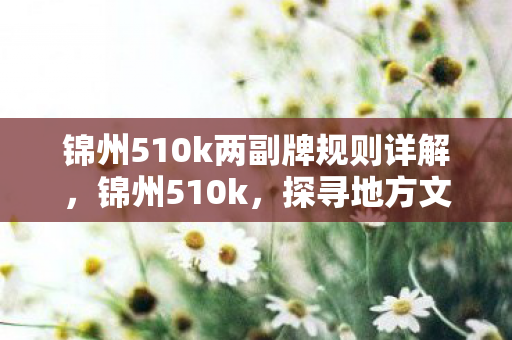 锦州510k两副牌规则详解，锦州510k，探寻地方文化的独特魅力