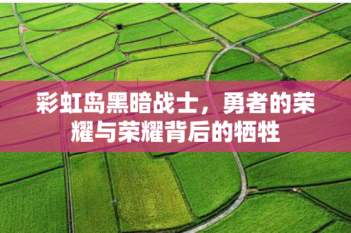 彩虹岛黑暗战士，勇者的荣耀与荣耀背后的牺牲