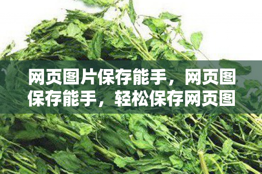 网页图片保存能手，网页图保存能手，轻松保存网页图片，提升工作效率